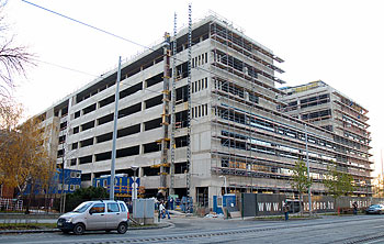 Haller Kert